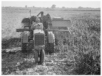 Vintage 1938 Farm Security Administration Harvesting Cooperation - Available at KNOWOL