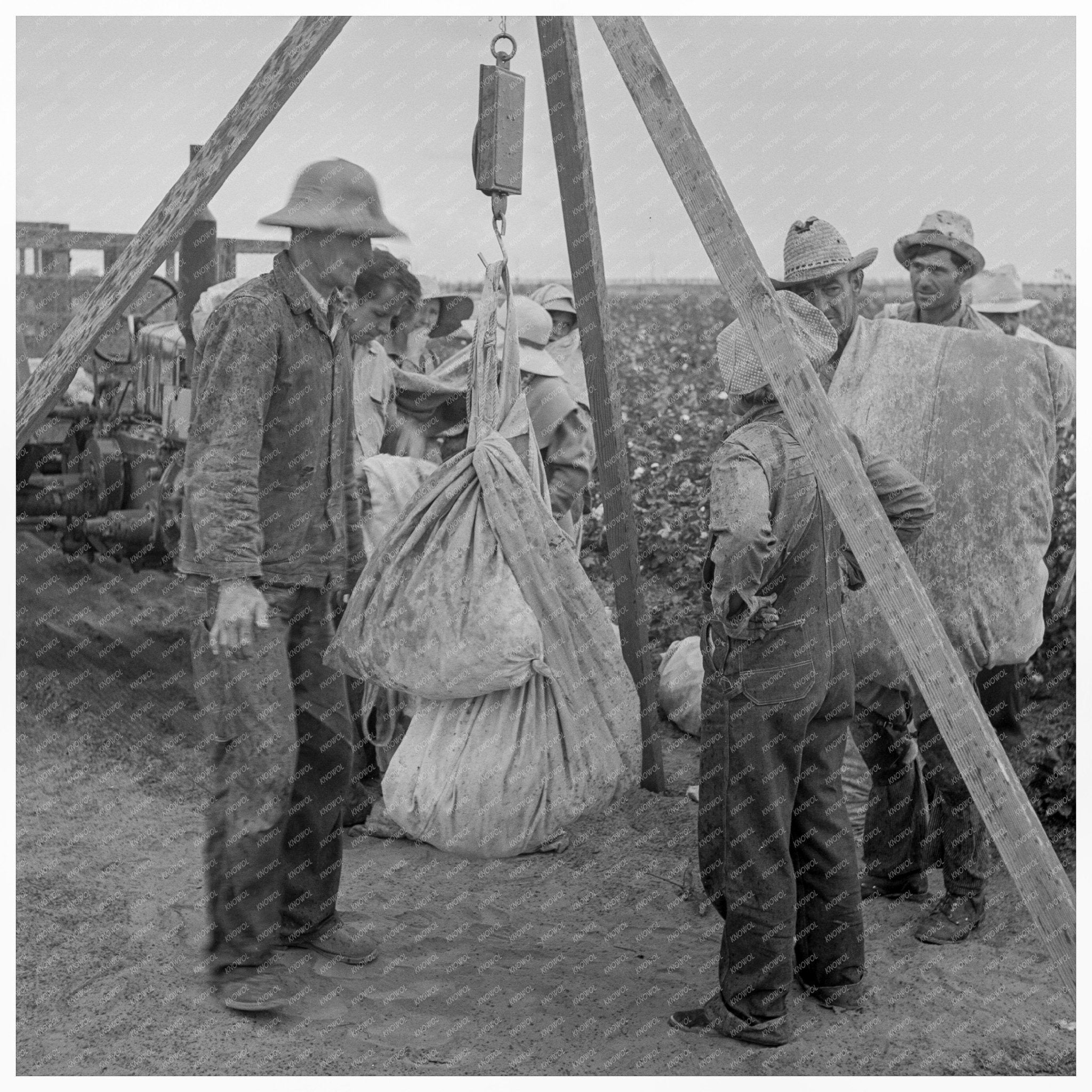 Vintage 1938 Photo Weighing Cotton in Kern County California - Available at KNOWOL
