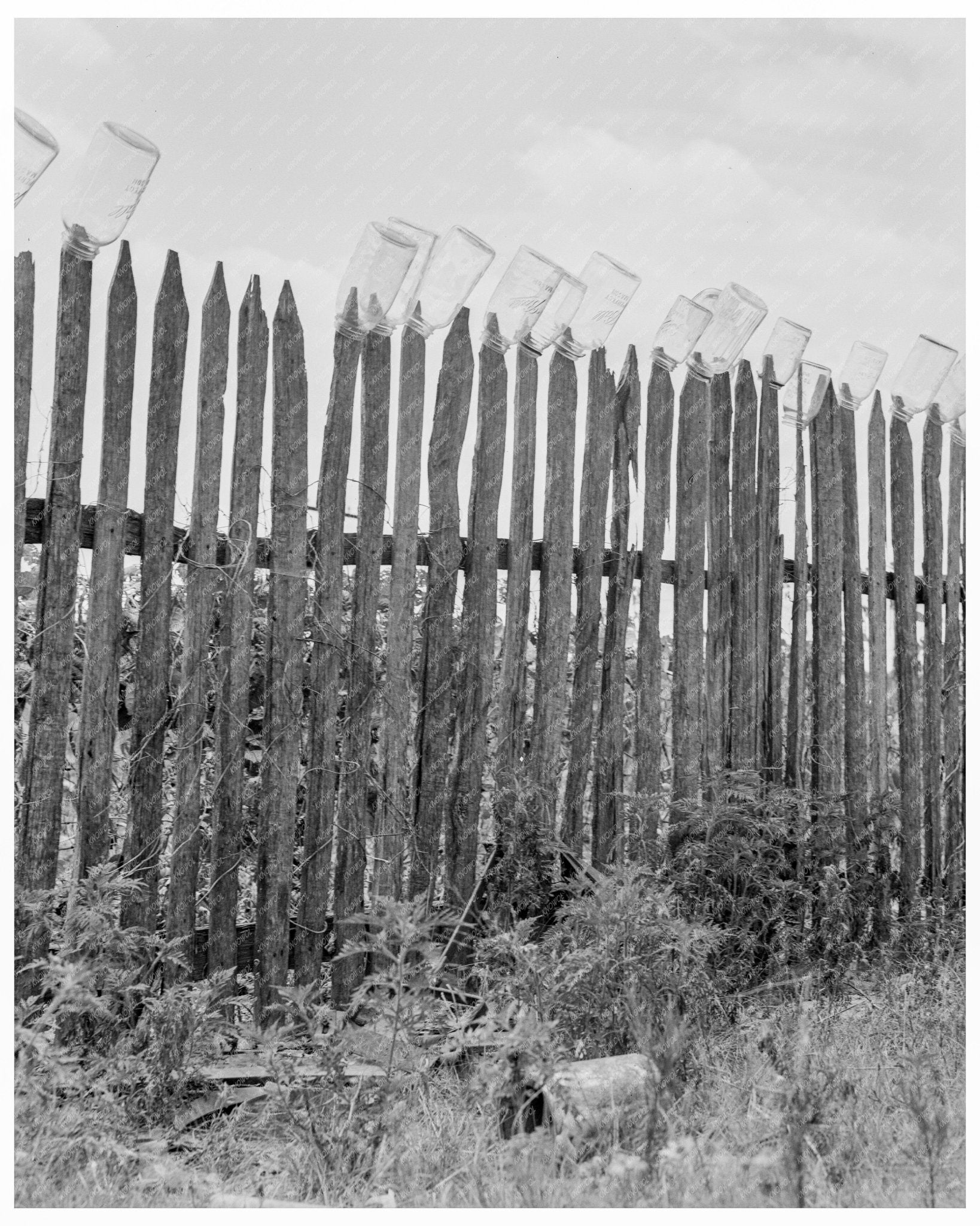 Vintage 1938 Photograph of Fruit Jars Being Sterilized in Conway Arkansas - Available at KNOWOL