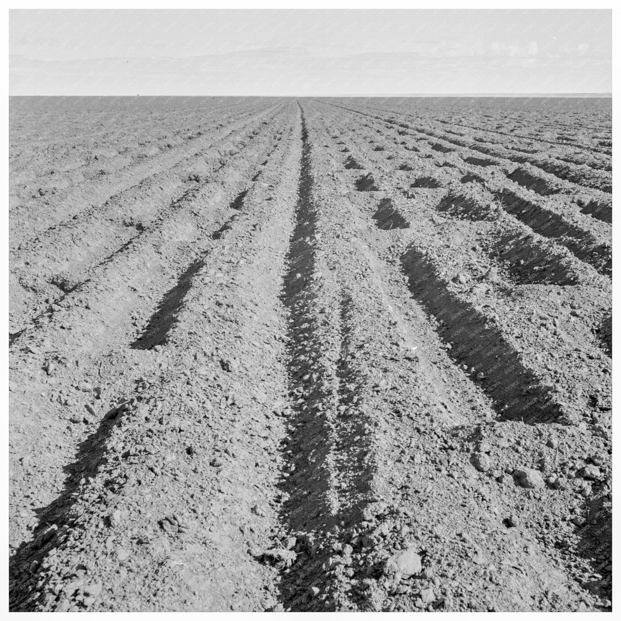 Vintage 1938 Texas Panhandle Farming Basin Image - Available at KNOWOL