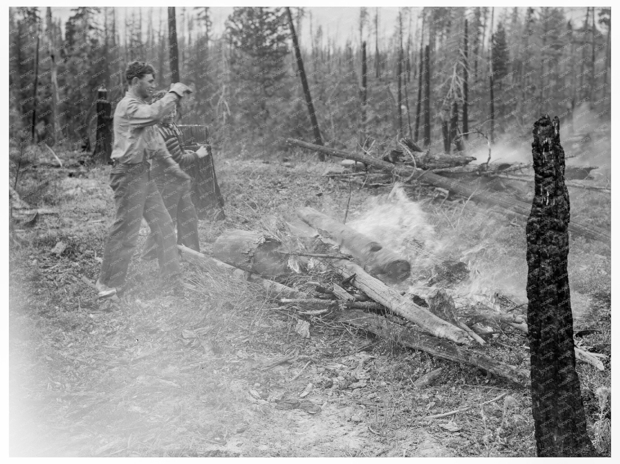 Vintage 1939 Idaho Family Land Clearing Photo - Available at KNOWOL