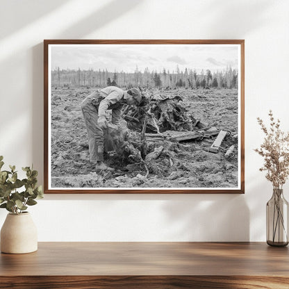 Vintage 1939 Idaho Lumber Mill Worker Clearing Field - Available at KNOWOL