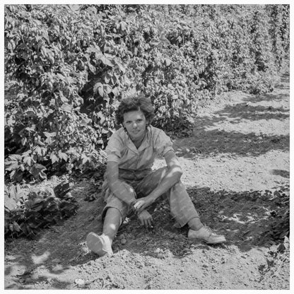 Vintage 1939 Photo of Migratory Field Worker in Oregon - Available at KNOWOL