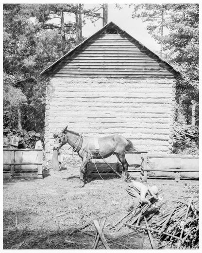 Vintage 1939 Photo of Tenant Farmers Son Gathering Sticks in Granville County NC - Available at KNOWOL