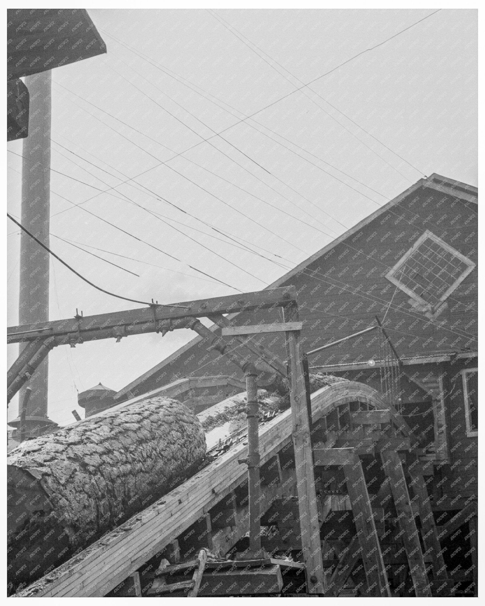 Vintage 1939 Photograph of Log Chute at Pelican Bay Lumber Company Oregon - Available at KNOWOL