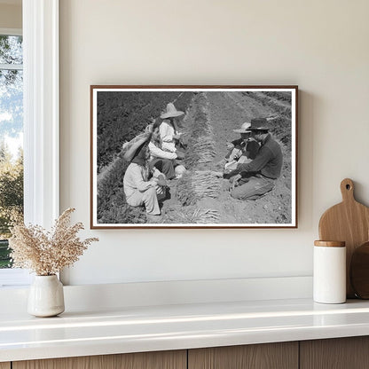 Vintage 1942 Photo of Carrot Harvesting in Yuma County - Available at KNOWOL