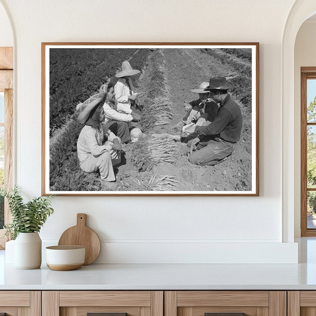 Vintage 1942 Photo of Carrot Harvesting in Yuma County - Available at KNOWOL