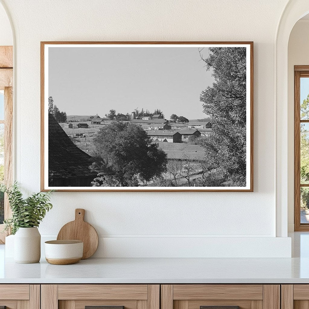 Vintage 1942 Rural Landscape Petaluma Sonoma County - Available at KNOWOL