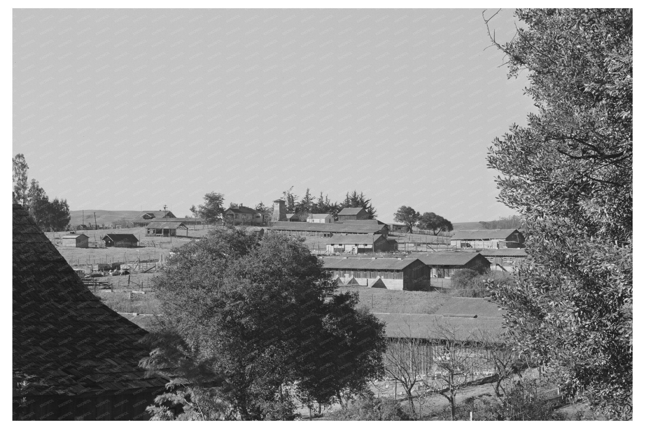 Vintage 1942 Rural Landscape Petaluma Sonoma County - Available at KNOWOL