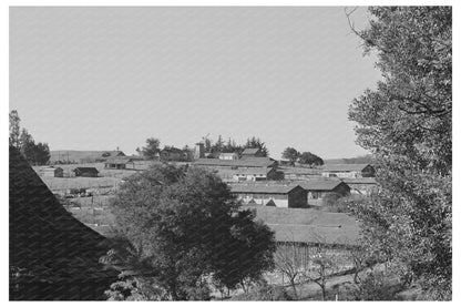 Vintage 1942 Rural Landscape Petaluma Sonoma County - Available at KNOWOL