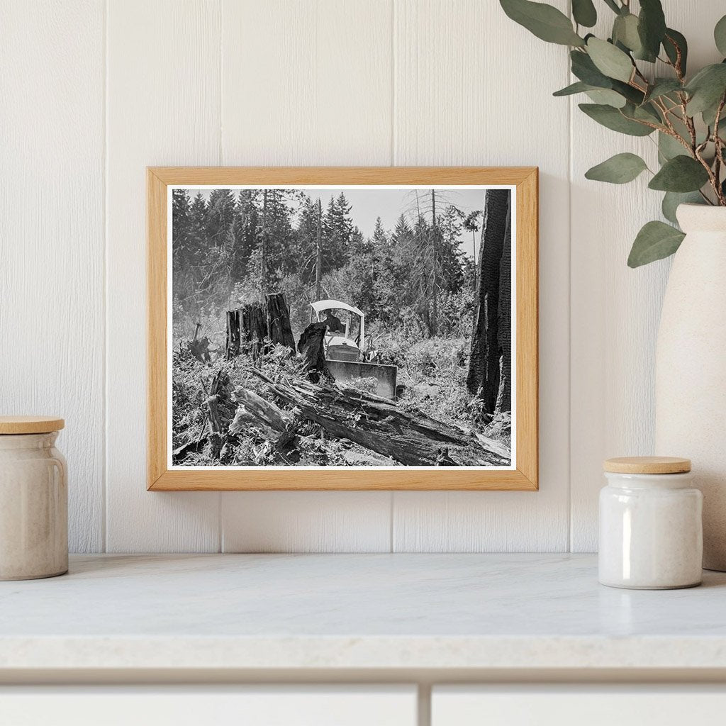 Vintage Bulldozer Pushing Stump in Lewis County 1939 - Available at KNOWOL