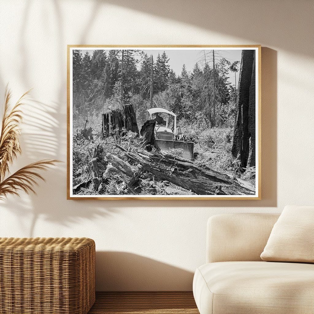 Vintage Bulldozer Pushing Stump in Lewis County 1939 - Available at KNOWOL