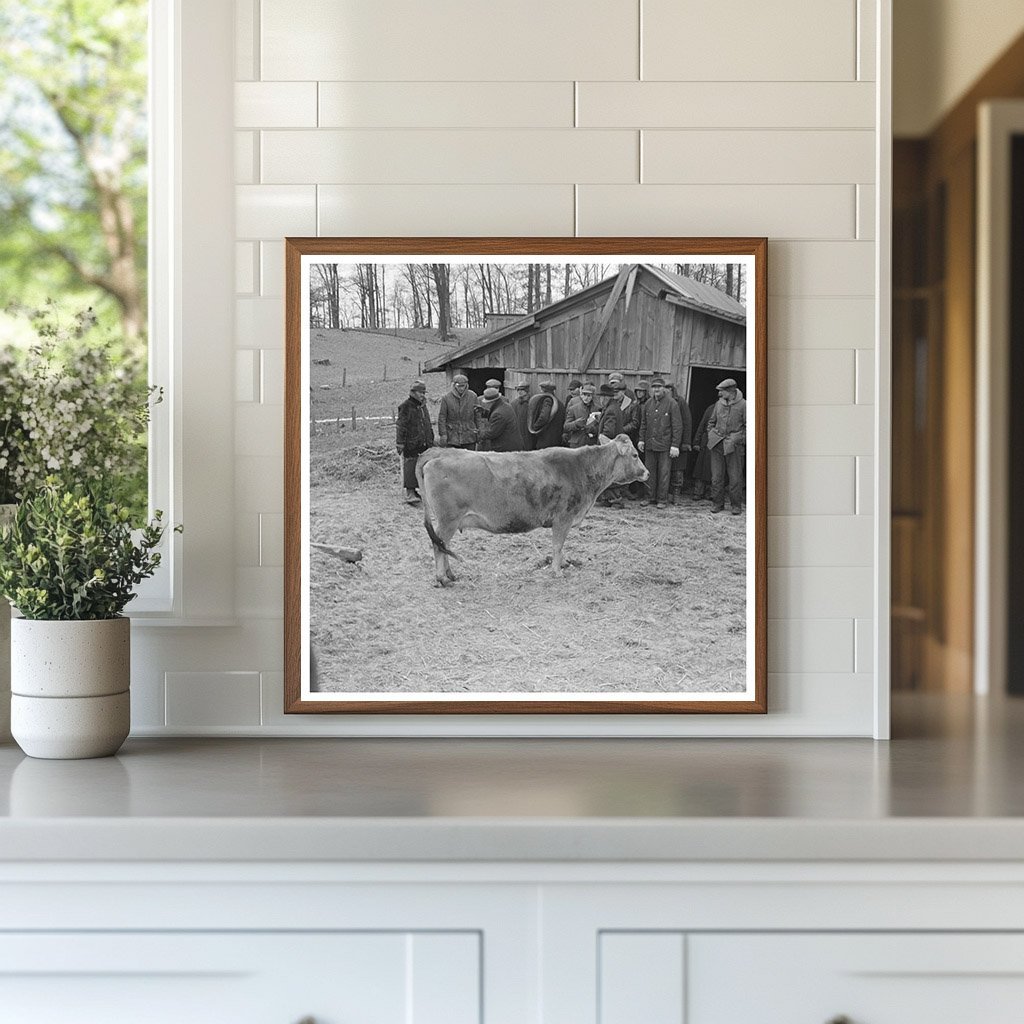 Vintage Cow Auction Montmorenci Indiana February 1937 - Available at KNOWOL