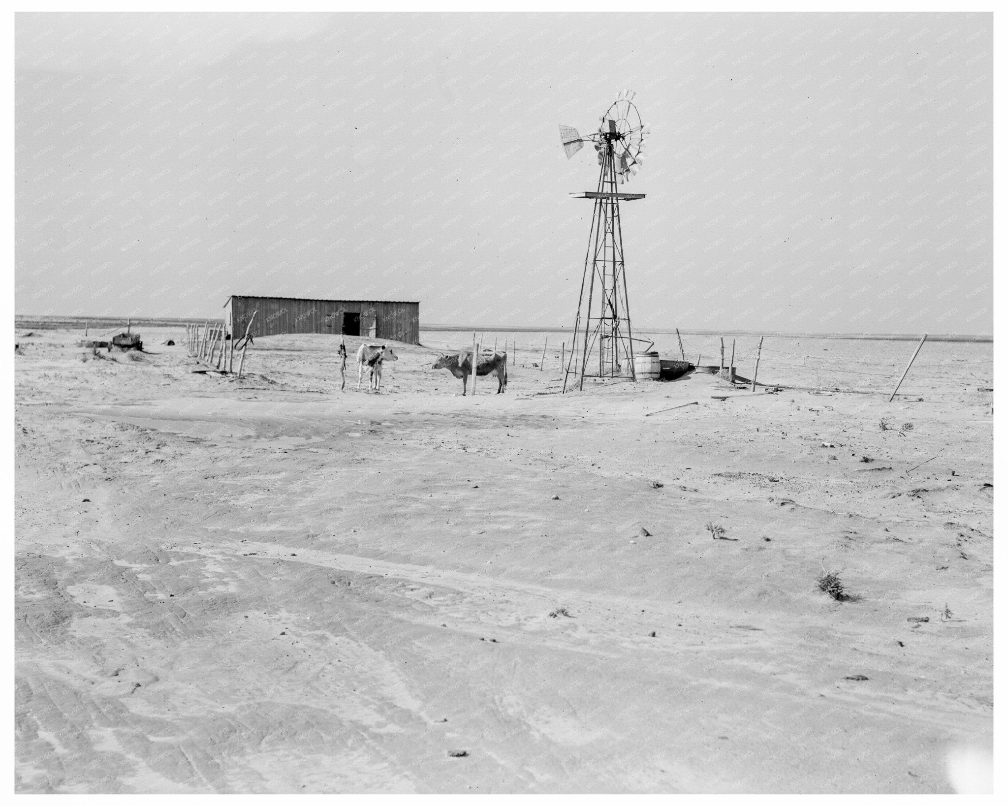 Vintage Farm Barn and Shed Boise City Texas 1938 - Available at KNOWOL