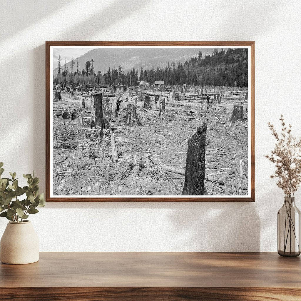 Vintage Farm Home Idaho 1939 Second Growth Timber - Available at KNOWOL