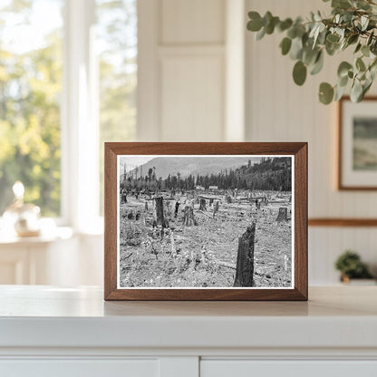 Vintage Farm Home Idaho 1939 Second Growth Timber - Available at KNOWOL