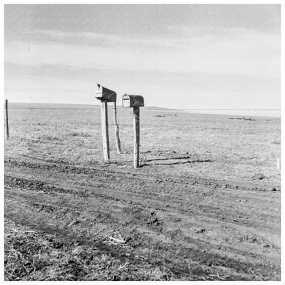 Vintage Grazing Lands Near Mills New Mexico 1935 - Available at KNOWOL