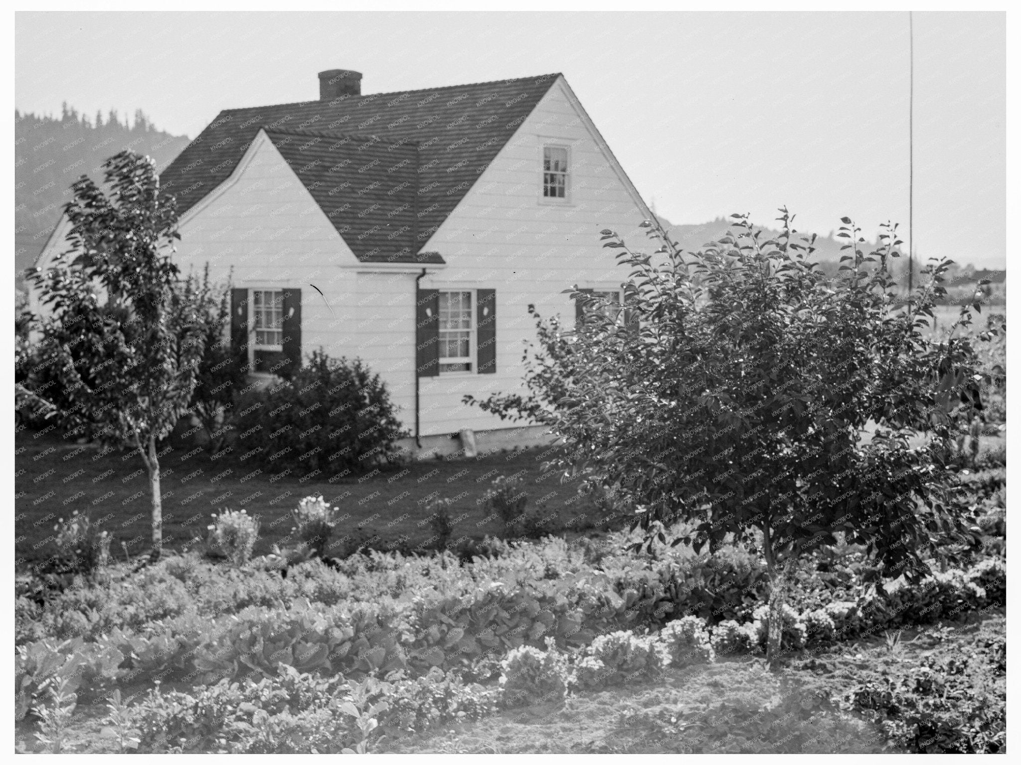 Vintage Home on Longview Homestead Cowlitz County 1939 - Available at KNOWOL