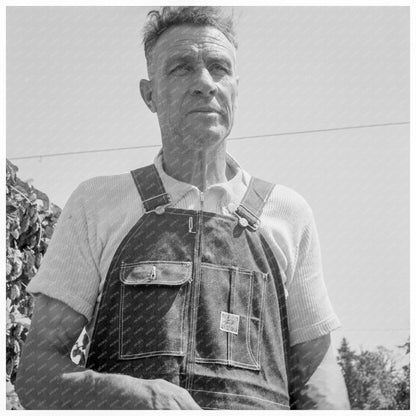 Vintage Hop Picker in Polk County Oregon August 1939 - Available at KNOWOL