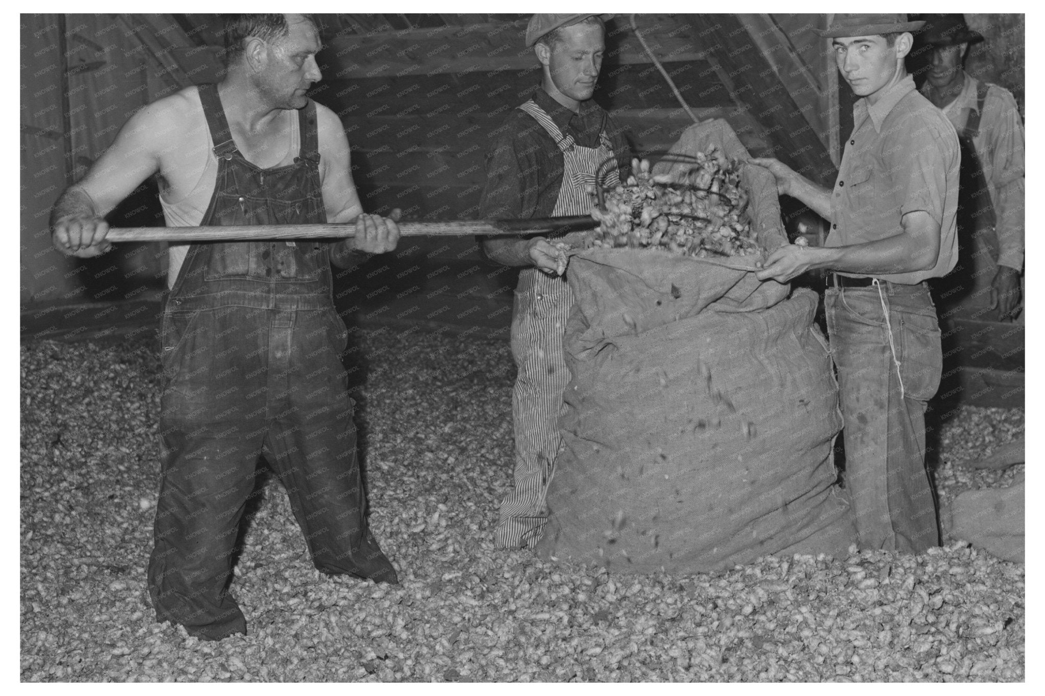 Vintage Image of Kiln Drying Room Yakima County 1941 - Available at KNOWOL