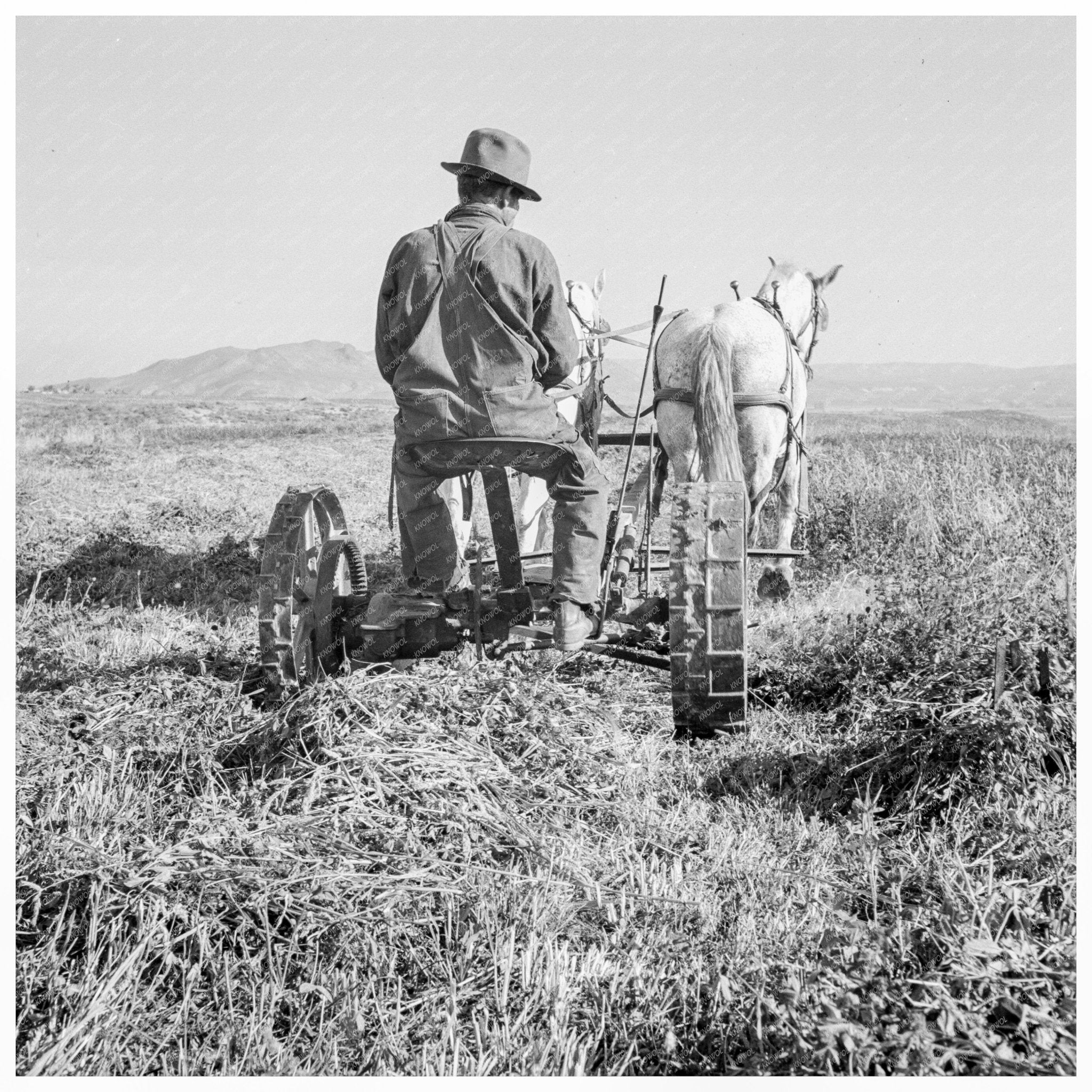 Vintage Image of Malheur County Oregon 1939 Farm Life - Available at KNOWOL