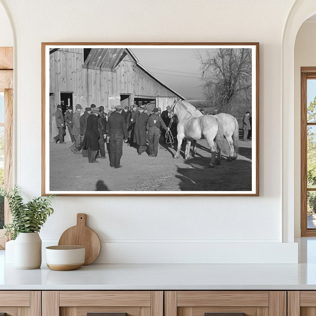 Vintage Mule Auction Aledo Illinois November 1936 - Available at KNOWOL