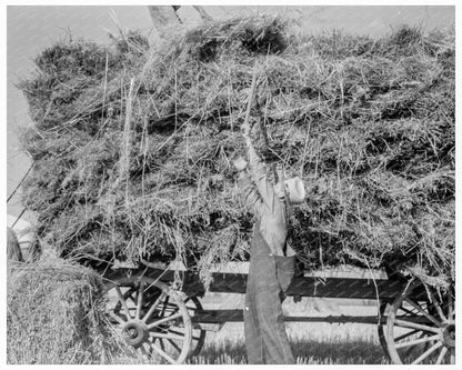 Vintage Oat Threshing in Clayton Indiana 1936 - Available at KNOWOL