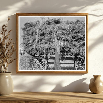 Vintage Oat Threshing in Clayton Indiana 1936 - Available at KNOWOL