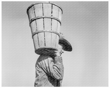 Vintage Pea Picker in Nipomo California 1937 - Available at KNOWOL