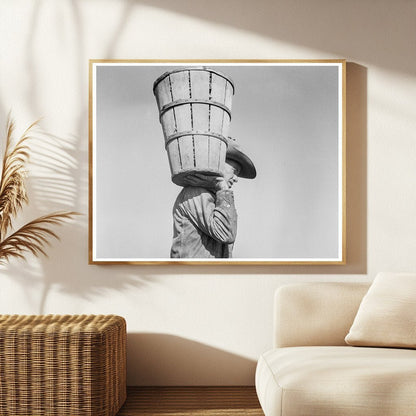 Vintage Pea Picker in Nipomo California 1937 - Available at KNOWOL