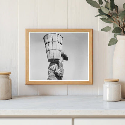 Vintage Pea Picker in Nipomo California 1937 - Available at KNOWOL