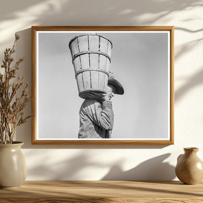 Vintage Pea Picker in Nipomo California 1937 - Available at KNOWOL