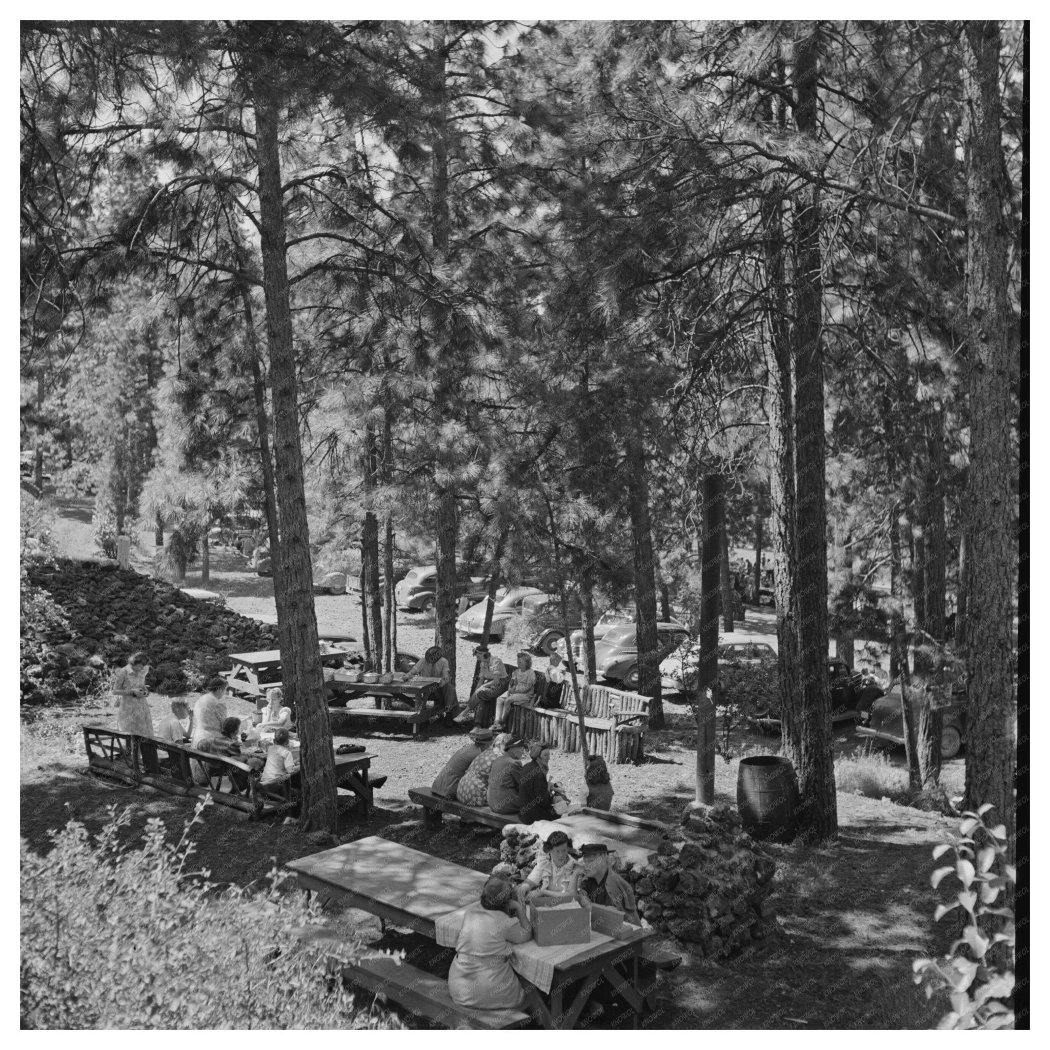 Vintage Picnic Scene in Klamath Falls Oregon 1942 - Available at KNOWOL