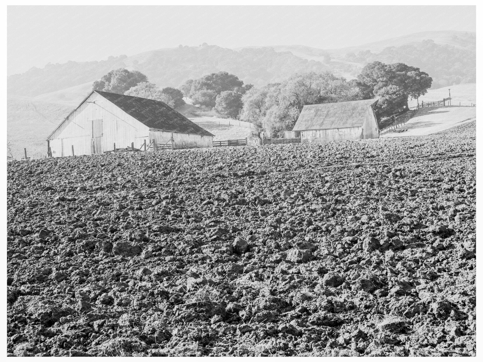 Vintage Stock Ranch Plowed Field Contra Costa County 1938 - Available at KNOWOL