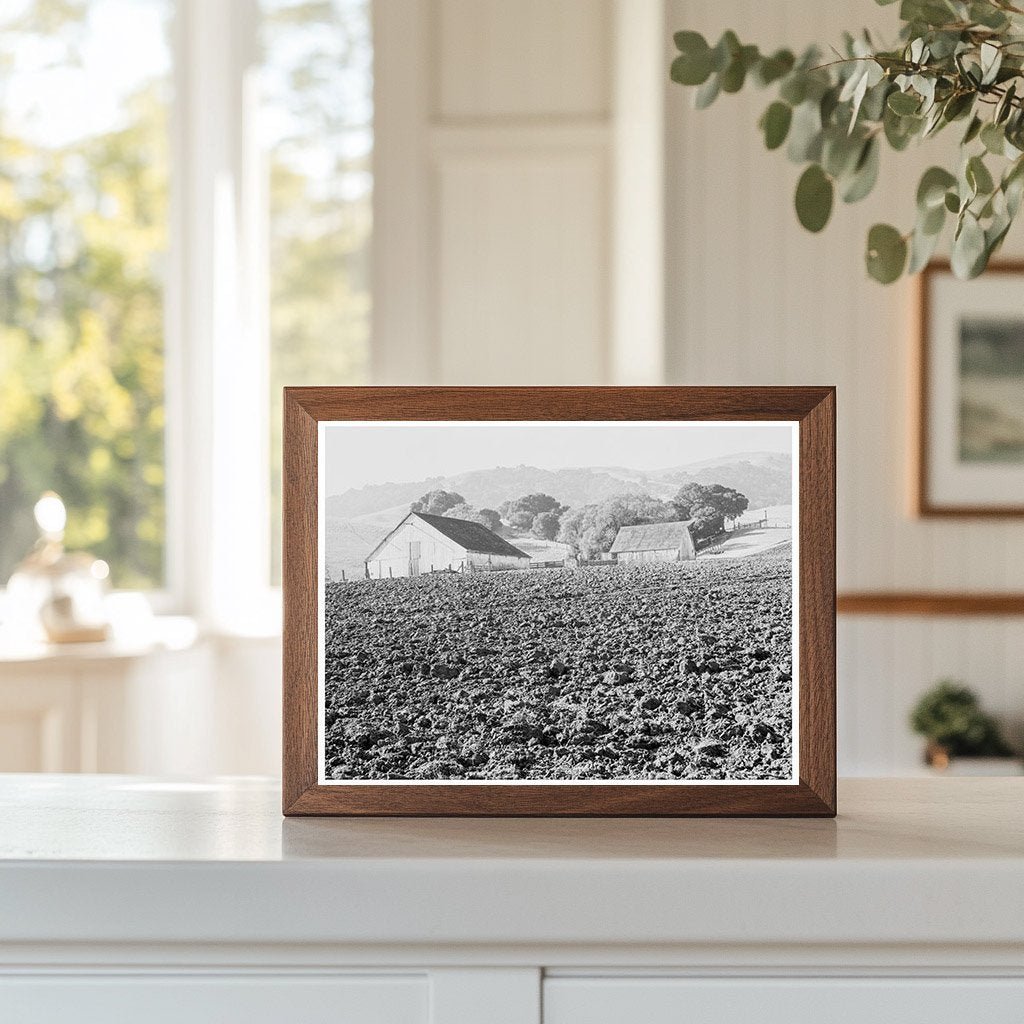 Vintage Stock Ranch Plowed Field Contra Costa County 1938 - Available at KNOWOL