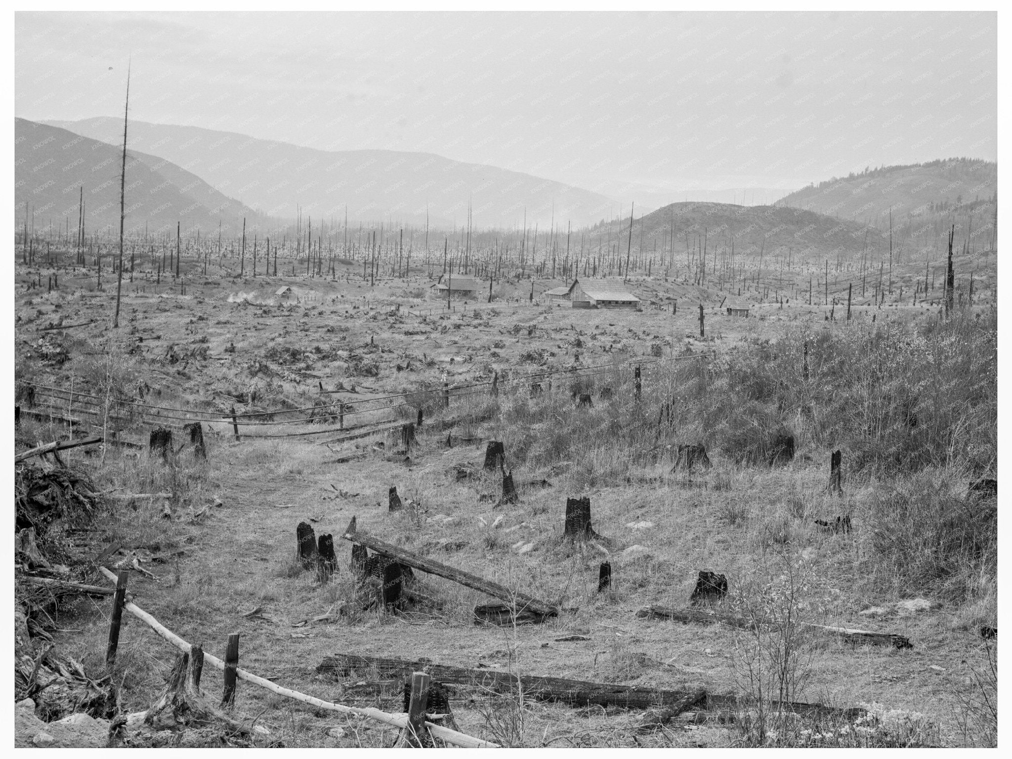 Vintage Stump Farm in Bonner County Idaho 1939 - Available at KNOWOL