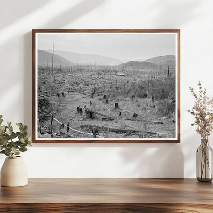 Vintage Stump Farm in Bonner County Idaho 1939 - Available at KNOWOL