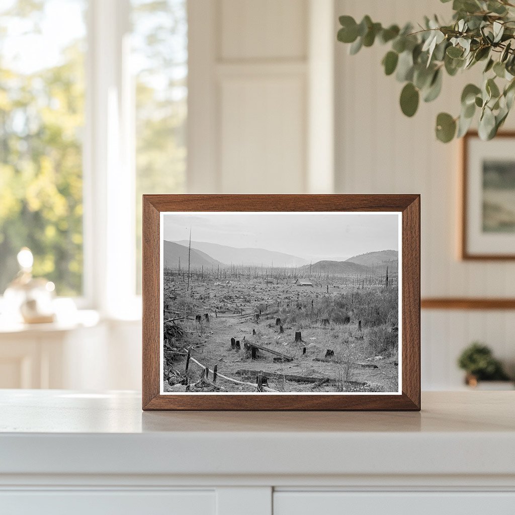 Vintage Stump Farm in Bonner County Idaho 1939 - Available at KNOWOL