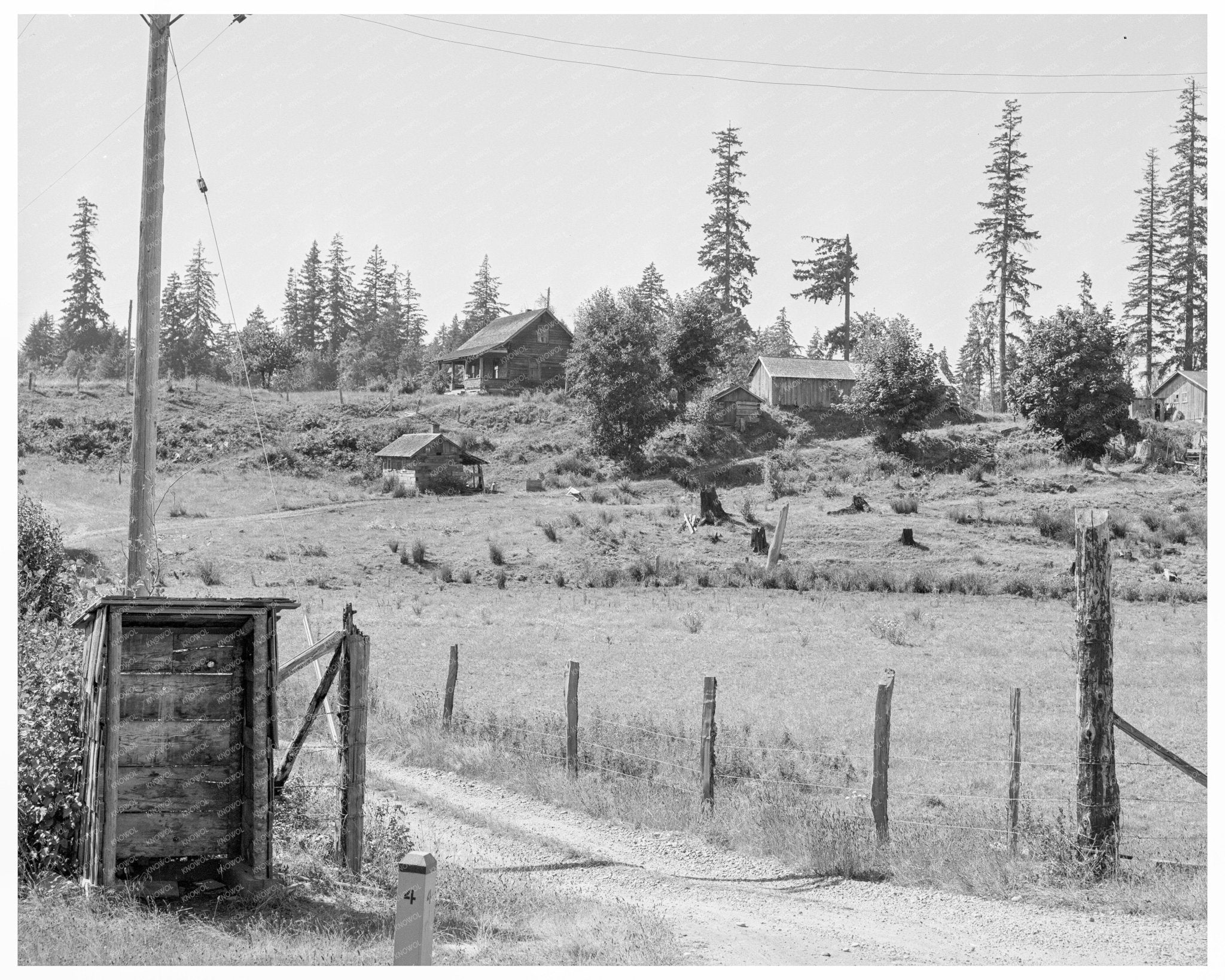 Vintage Stump Farm Shelter Lewis County Washington 1939 - Available at KNOWOL