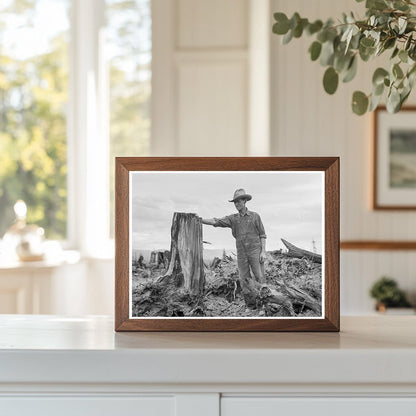 Vintage Stump on Cut - Over Farm Bonner County Idaho 1939 - Available at KNOWOL