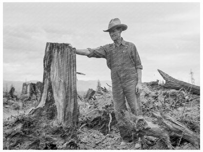 Vintage Stump on Cut - Over Farm Bonner County Idaho 1939 - Available at KNOWOL