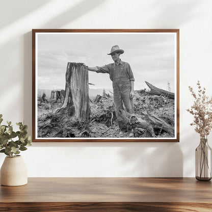 Vintage Stump on Cut - Over Farm Bonner County Idaho 1939 - Available at KNOWOL