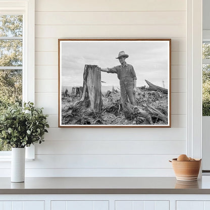 Vintage Stump on Cut - Over Farm Bonner County Idaho 1939 - Available at KNOWOL