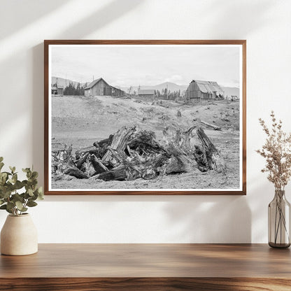 Vintage Stump Pile for Burning at Unruf Farm Idaho 1939 - Available at KNOWOL