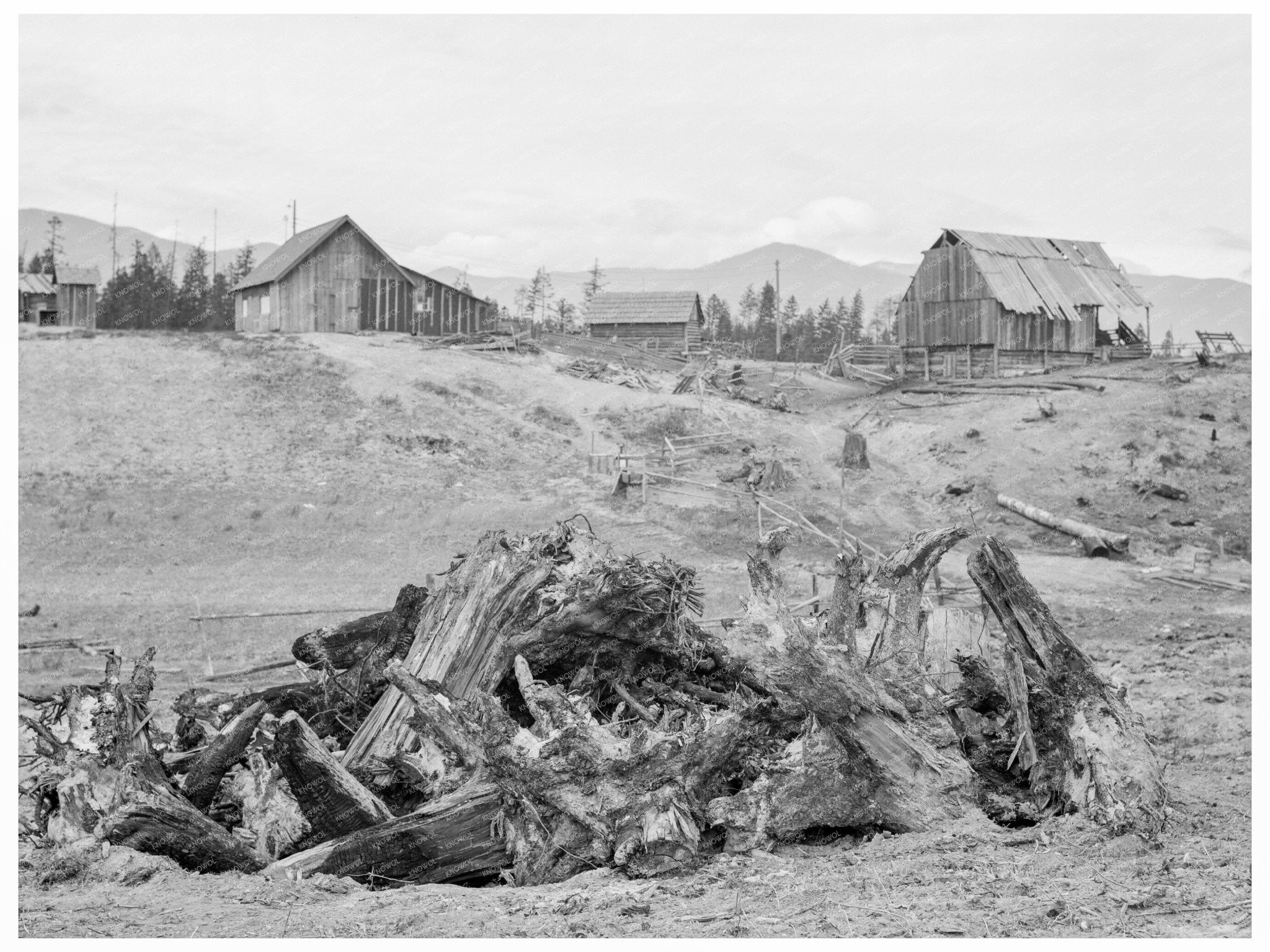Vintage Stump Pile for Burning at Unruf Farm Idaho 1939 - Available at KNOWOL