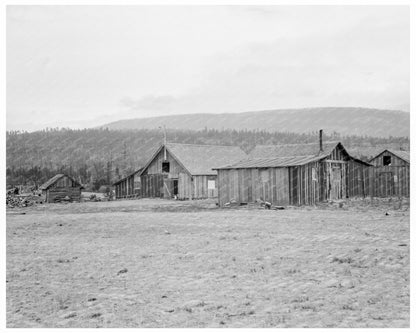 Vintage Stump Ranch in Boundary County Idaho 1939 - Available at KNOWOL