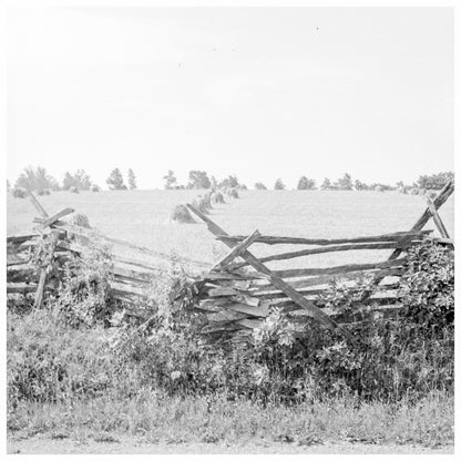 Virginia Wheat Field Photograph June 1936 - Available at KNOWOL