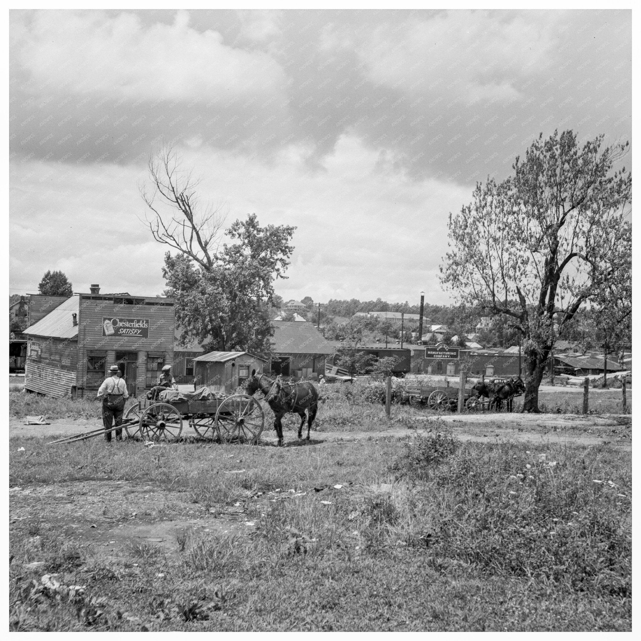 Wagons in Field Siler City North Carolina July 1939 - Available at KNOWOL