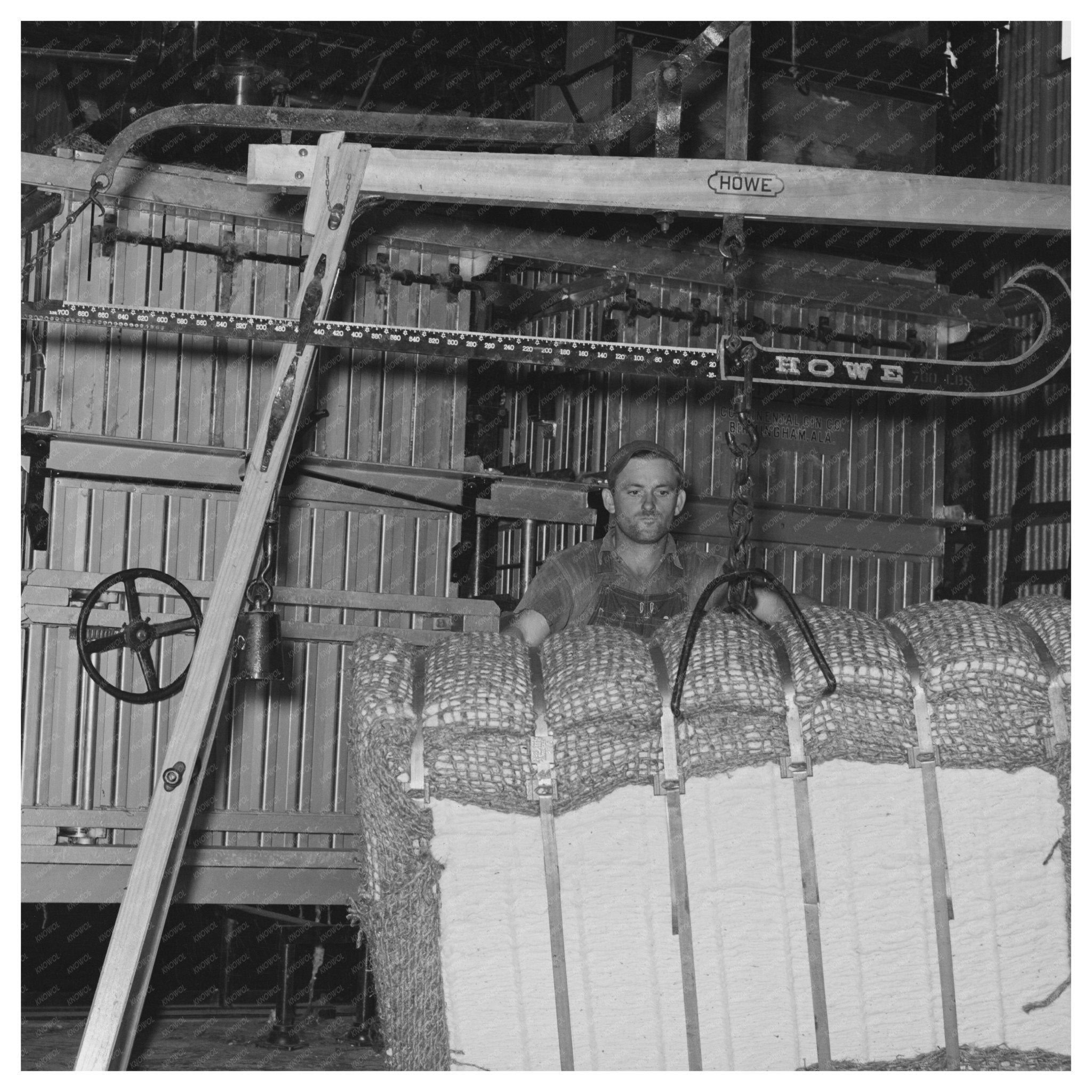 Weighing Cotton Bale at Lake Dick Project Arkansas 1938 - Available at KNOWOL