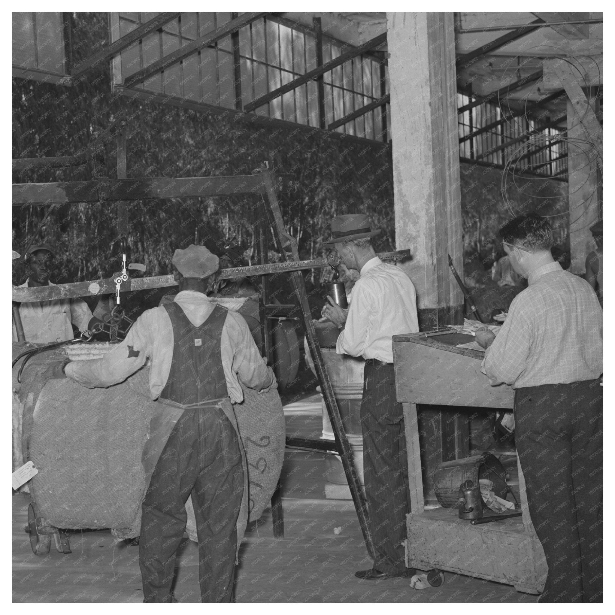 Weighing Cotton Bale in Houston Texas 1939 - Available at KNOWOL